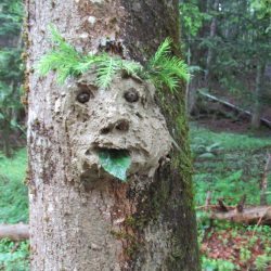 Wald- und Wiesenzwerge